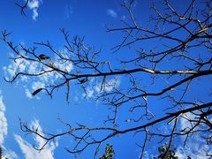 -白沙门生态公园