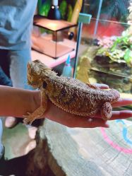 -酷嗒动物文化乐园(cutezoo西溪乐天城店)