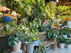 -自由生长植物工作室(深港花卉中心店)