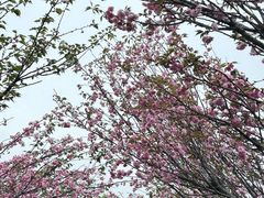 -观澜湖生态运动公社