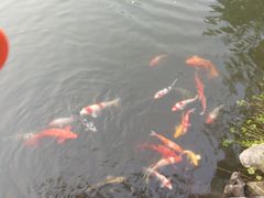 -杭州西湖柳莺里酒店