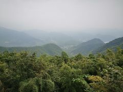 -莫干山风景区