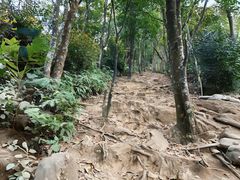 -梧桐山风景名胜区