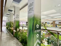 -国芳中心