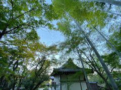 -常寂光寺