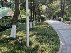 -绵阳人民公园(涪城区)