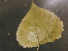 -么哈MOJAR(北京五道口店)