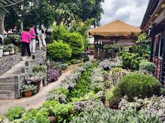 -山菌美食苑(振兴路店)