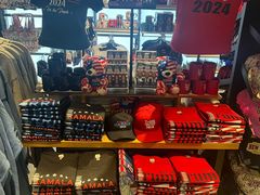 -约翰·菲茨杰拉德·肯尼迪国际机场