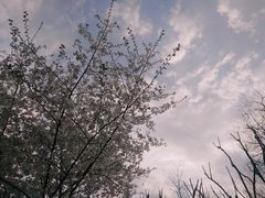 -杭州西湖风景名胜区-章太炎纪念馆