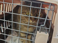 -瑞派蒂凯宠物医院·免疫点·宠保定点