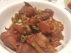红烧猪蹄-壹盏灯(惠农店)