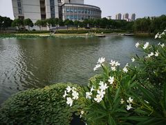 曲水桥-江南大学(蠡湖校区)