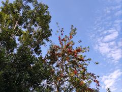-林丰温泉度假山庄