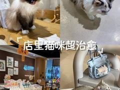 -藏猫猫咖啡主题馆(中央大道店)