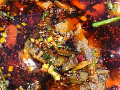 -情妹耙泥鳅·江湖川菜(科华店)