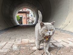 -东湖177艺术餐厅 · 东坡院子