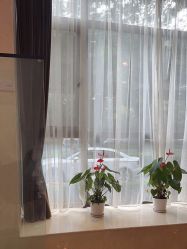 -四川娇点医学美容医院