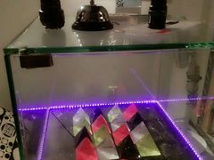 android_upload_pic-樊笼真人密室逃脱(江南西店)