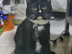 -南昌原味水煮油炸(六眼井店)