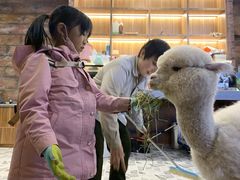 -MR.ZOO小小动物元室内动物园(沈阳沈河盛京中心)