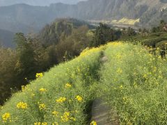 -石潭村