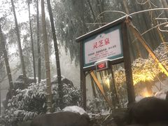-江南天池高山汤泉城