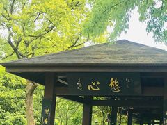 -杭州半山国家森林公园