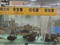 -寻味顺德·南记酒家·传统顺德菜·鱼生(广源路店)