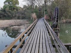 -西溪国家湿地公园