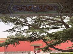 -北京市劳动人民文化宫(太庙)