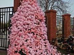 -桃花堤公园
