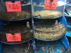 -北戴河庆山饭店·海鲜砂锅粥(北戴河黑石路店)