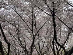 -白塘生态植物园