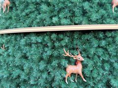 -深圳湾万象城(南山店)