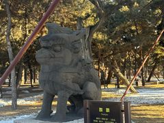 -北陵公园