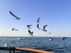 -大连海昌东方水城