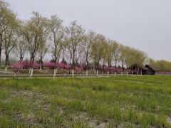 -永定河休闲森林公园