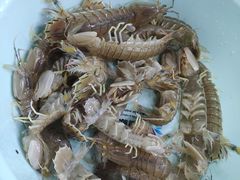 -聚德福海鲜家常菜(刘庄店)