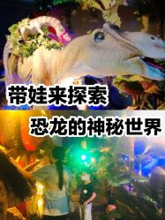 -恐龙探索乐园(磁器口店)