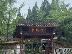 -青城甲(青城山店)