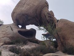 -天涯山