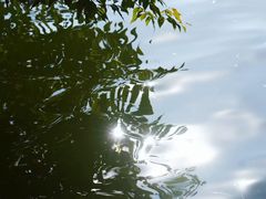 -西湖游船
