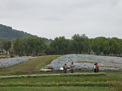 -径山花海