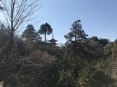 -有栖山 清光院 清水寺