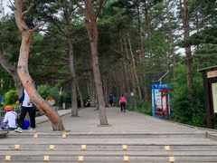 -帽儿山国家森林公园