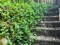 -凤栖山
