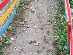-南汇桃花村