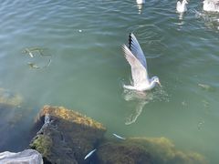 -大理洱海