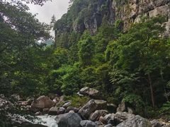 -石台牯牛降景区